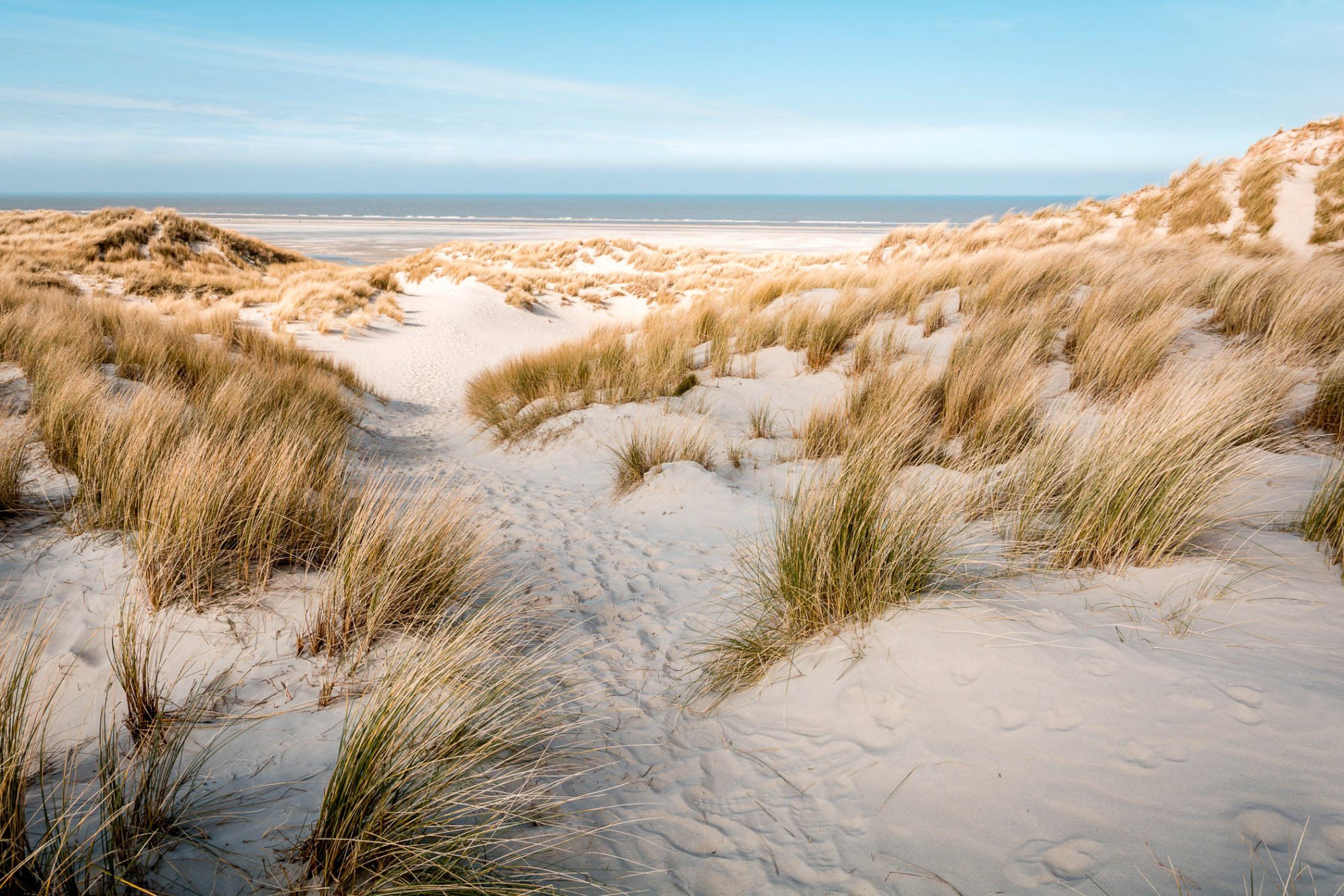 Zandpad door de duinen van Terschelling richting het Noordzeestrand, met helmgras, witte duinen en blauwe lucht op een zonnige dag.