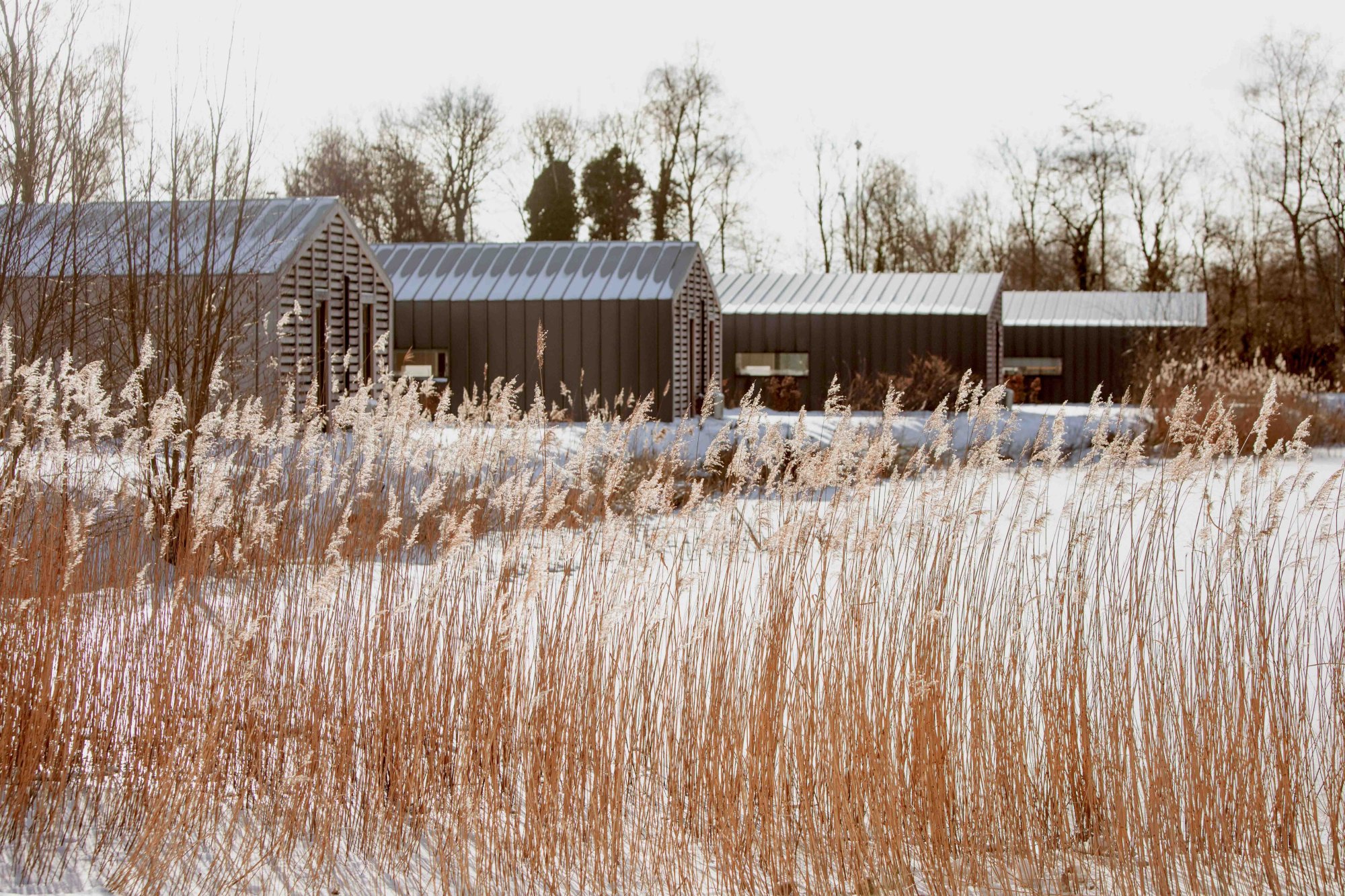 Vakantiehuizen van Gooilanden in een besneeuwd winterlandschap.