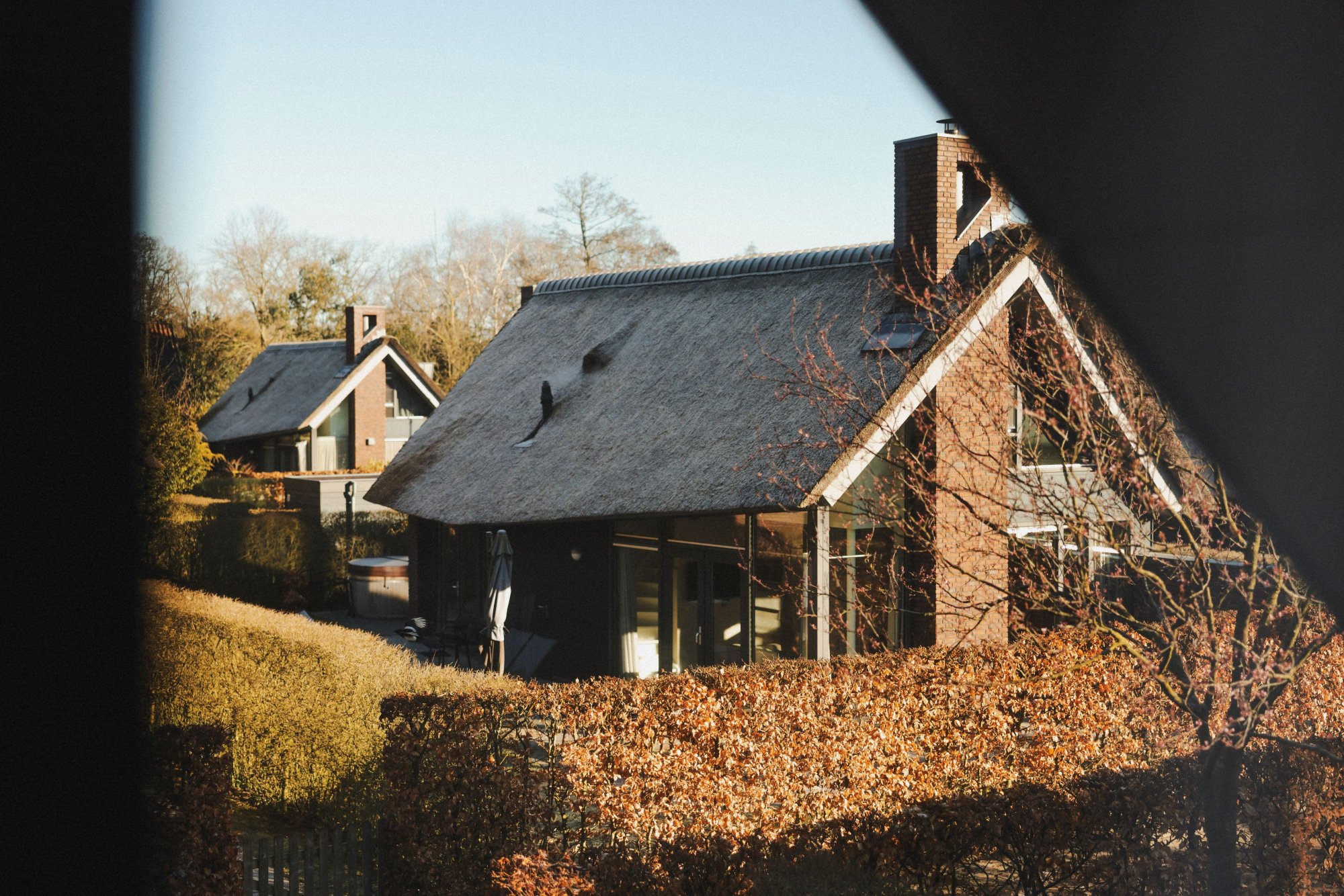 Vakantiehuizen van Mooi Schoorl tussen kale bomen in winterse natuur.