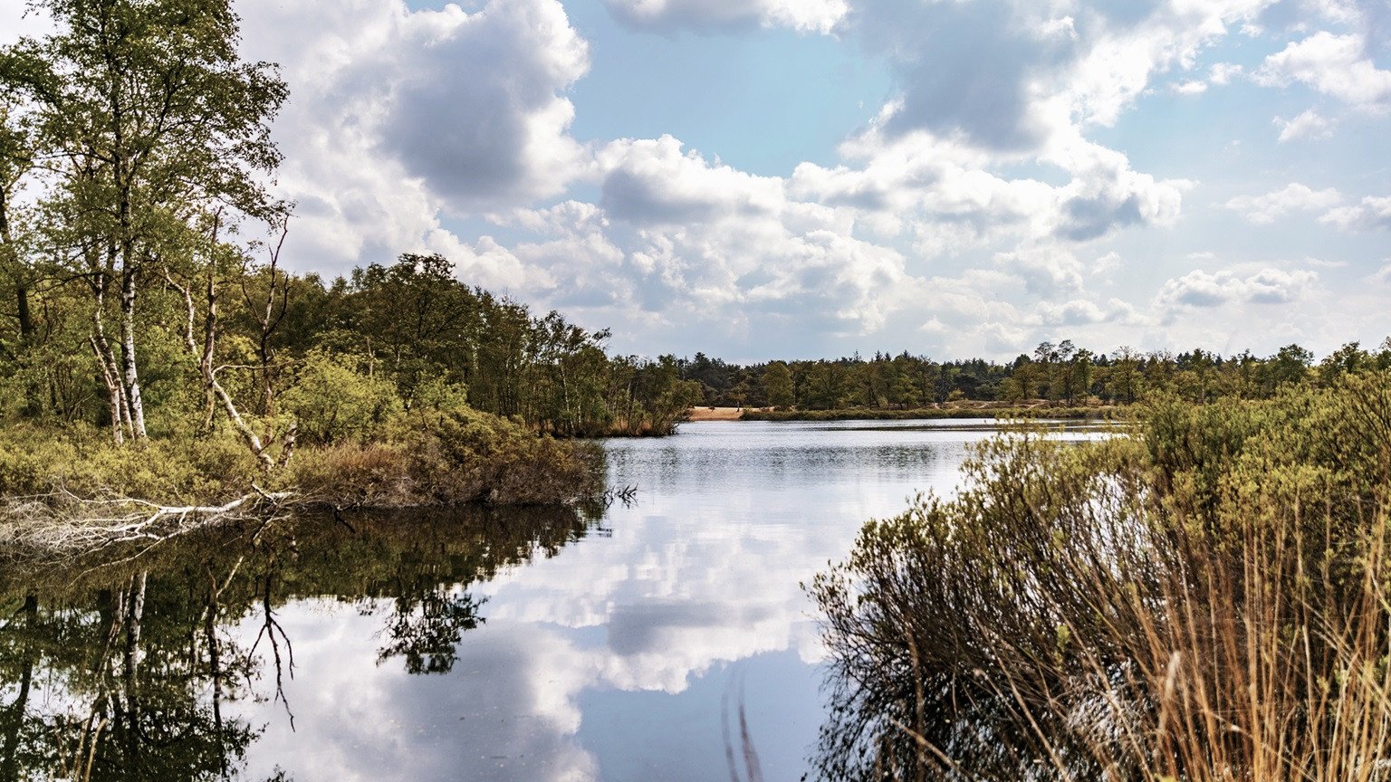 Uitzicht over een rustig meer omringd door groen en heide, met reflecties van wolken en blauwe lucht in het water, nabij De Zeegser Duinen.