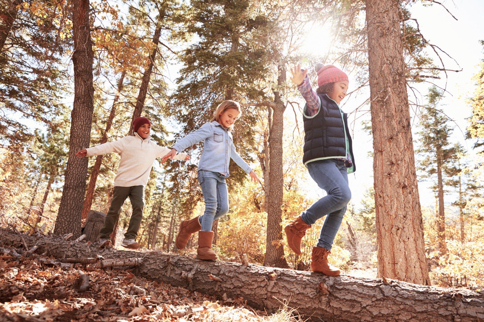 Drie kinderen spelen samen in een herfstachtig speelbos op Terschelling; balancerend op een boomstam tussen de bomen in het zonlicht.