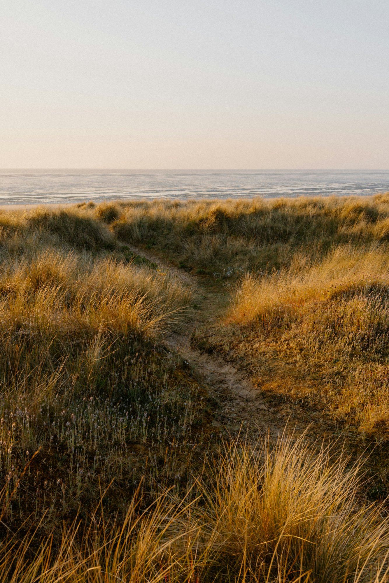 Duinlandschap aan zee op Terschelling.