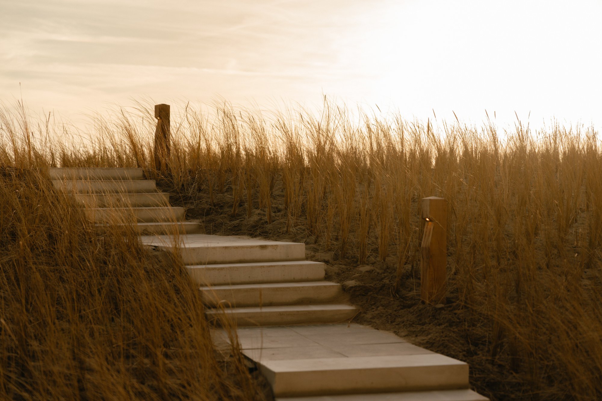 Duinpad met houten trap richting strand in de lente.