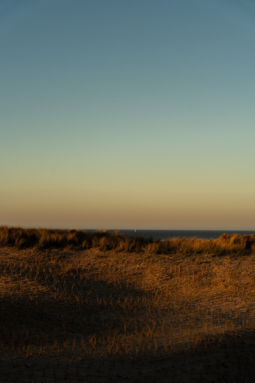 Vanuit Elements Terschelling uitkijken over de duinen naar de Noordzee.