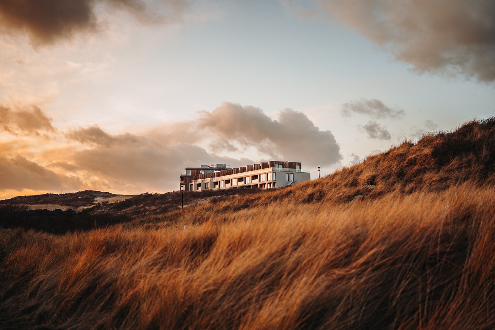 Elements Terschelling auf einem Dünenrücken bei Sonnenuntergang, mit wehendem Dünengras und Wolkenhimmel.