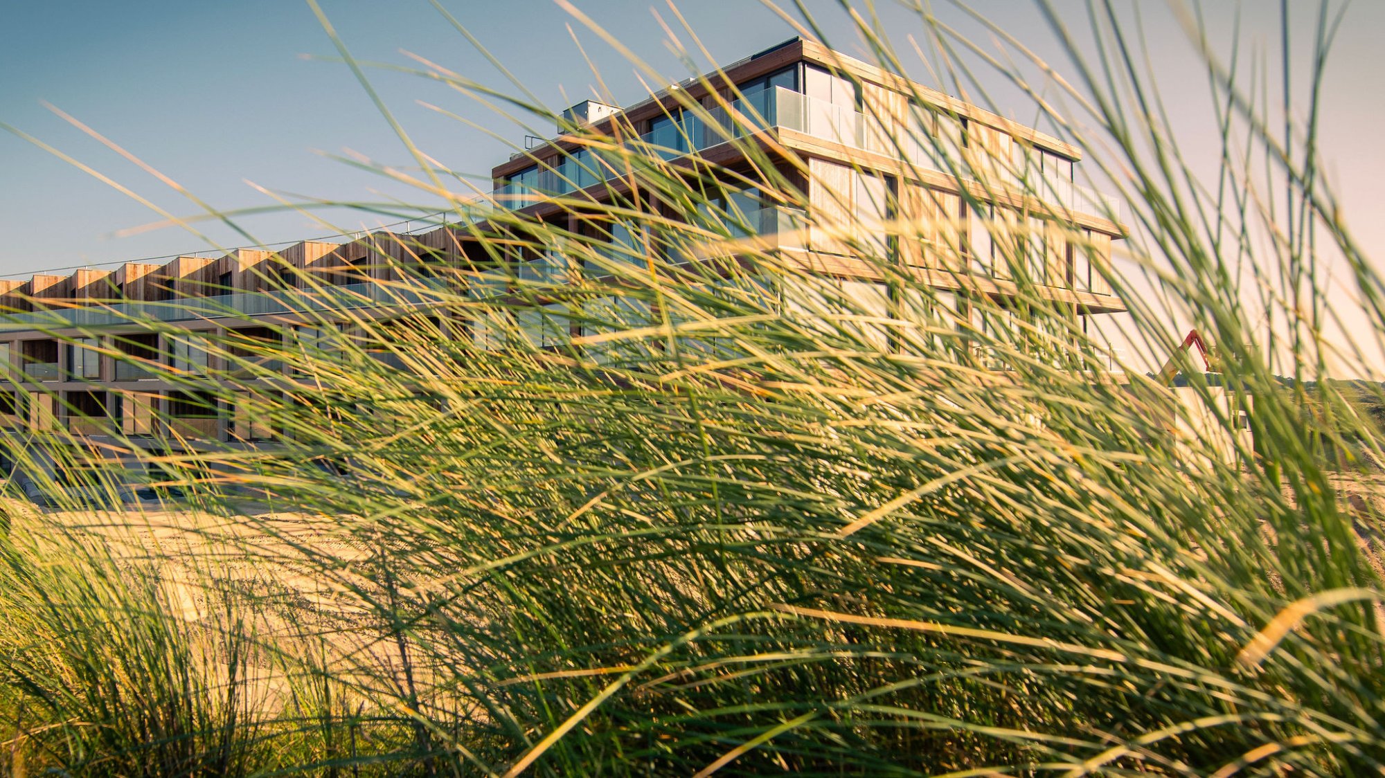 Het gebouw van Elements Terschelling rijst op uit de duinen, deels verscholen achter wuivend helmgras, in warm avondlicht dat de natuurlijke materialen zacht laat oplichten.
