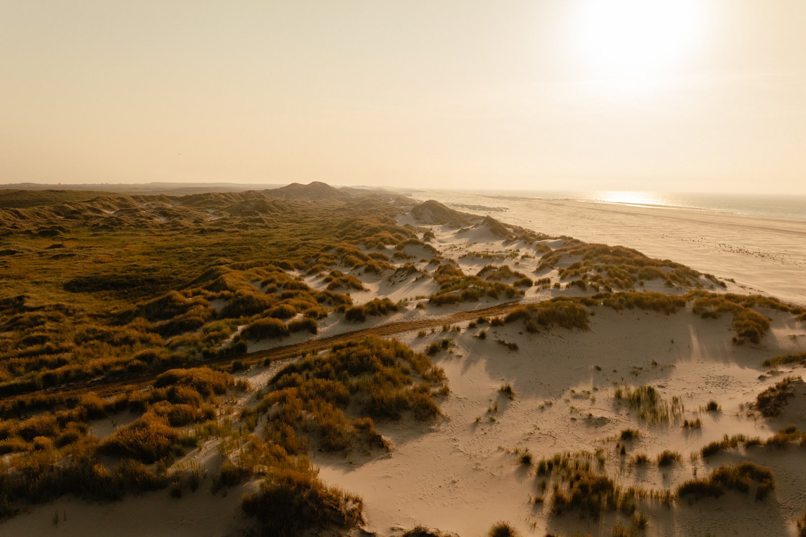 Duinen en strand op Terschelling bij zacht voorjaarslicht.