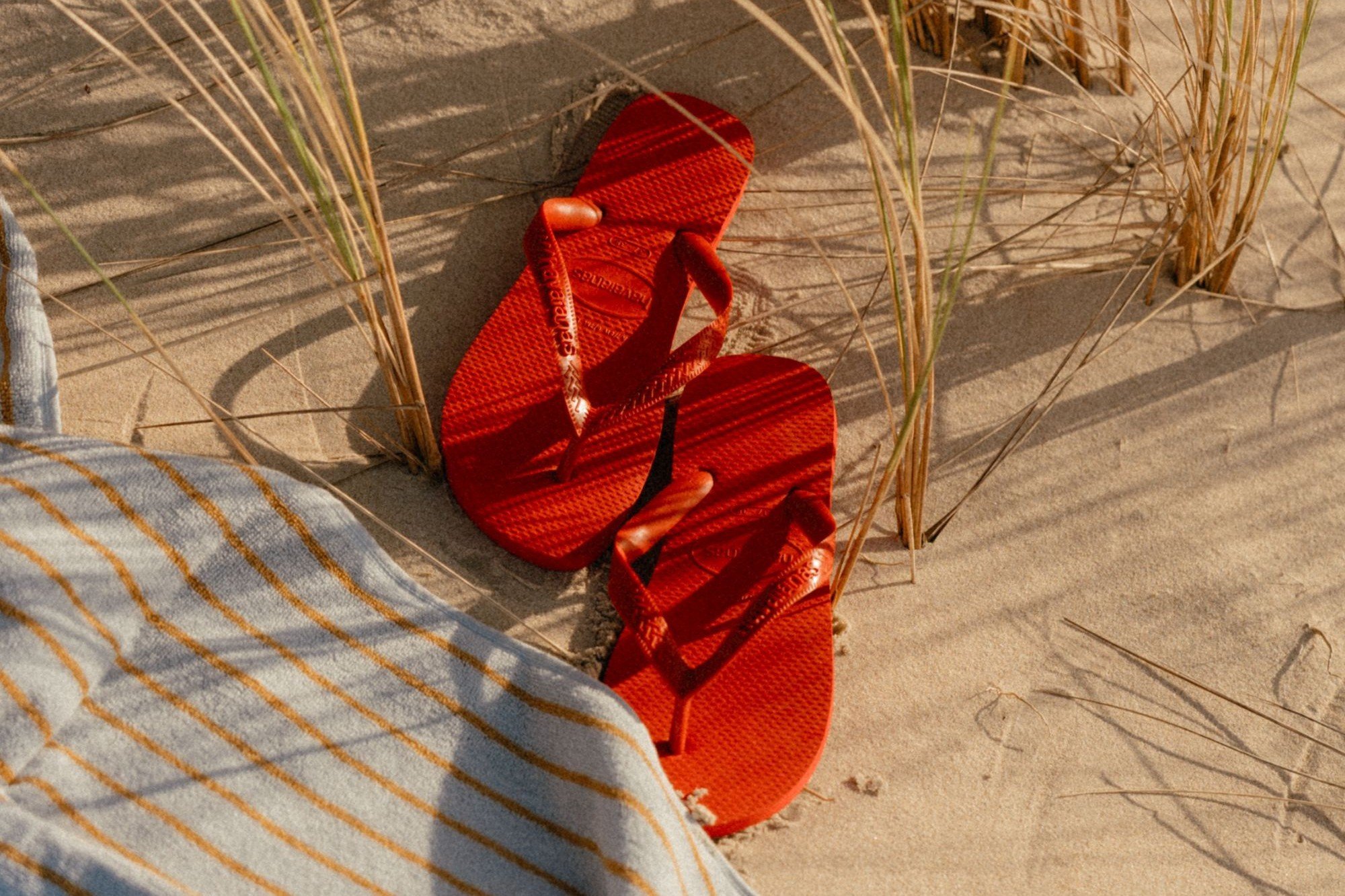 last minute zomervakantie terschelling aan zee.