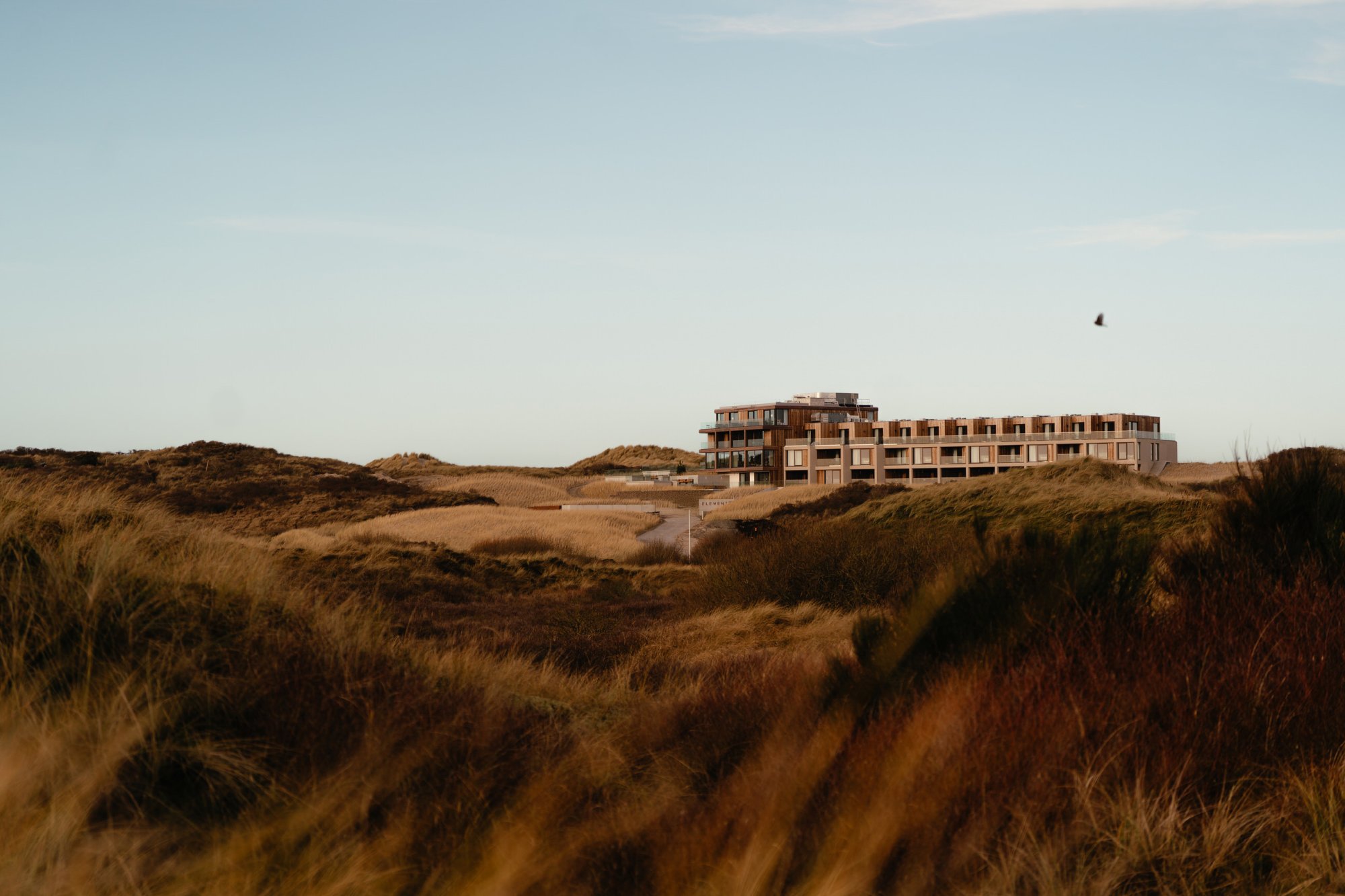 Elements Terschelling in het duinlandschap bij daglicht.