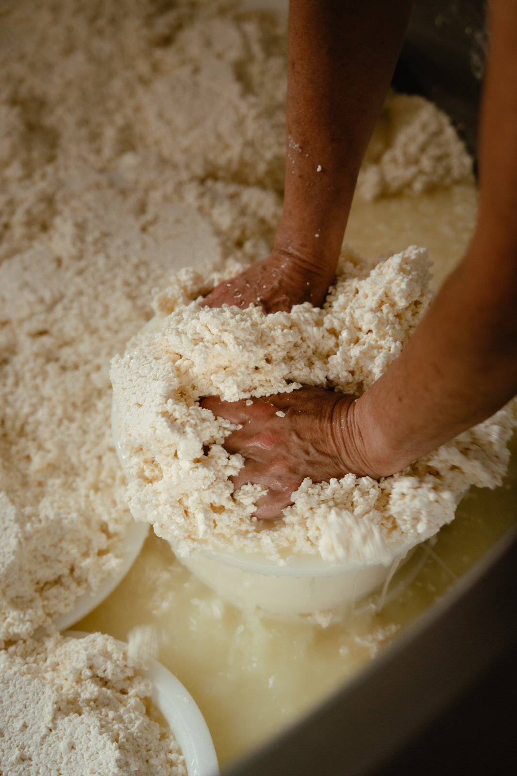Ambachtelijke kaasmaker aan het werk, met handen die verse wrongel in vormen scheppen. De warme, romige textuur en het zachte licht benadrukken de pure eenvoud van het handwerk.