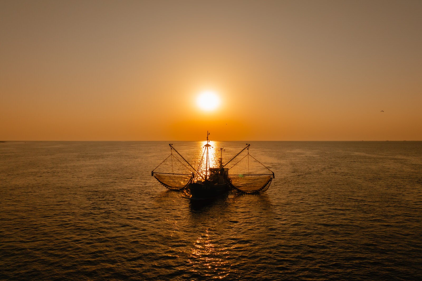 Garnalenvisser op zee bij Terschelling in het gouden licht van de ondergaande zon.