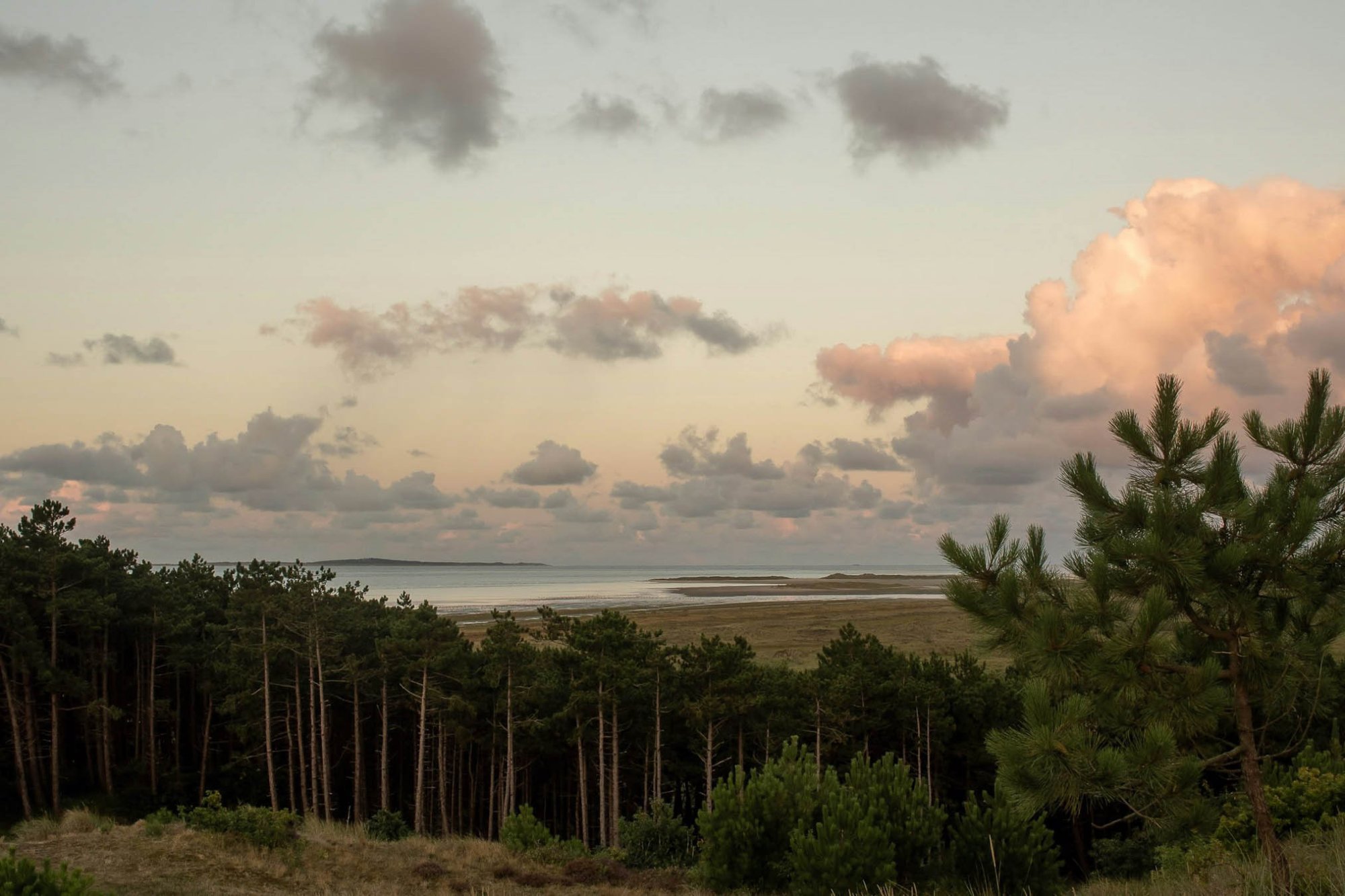 Sunset view over the dunes, forest and Wadden Sea on Terschelling, with warm cloud formations and calming natural surroundings.