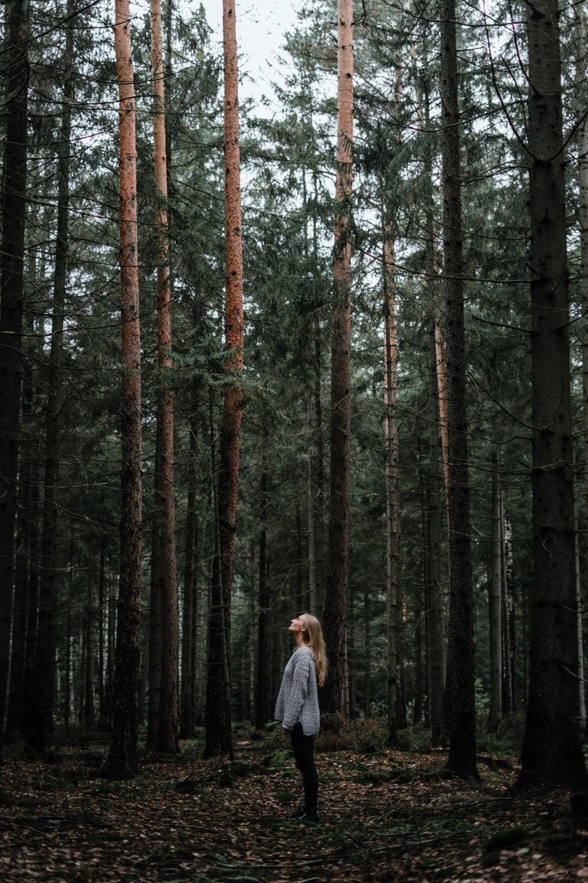 Vrouw met lang blond haar staat tussen hoge dennenbomen in een donker bos en kijkt omhoog naar de boomtoppen.