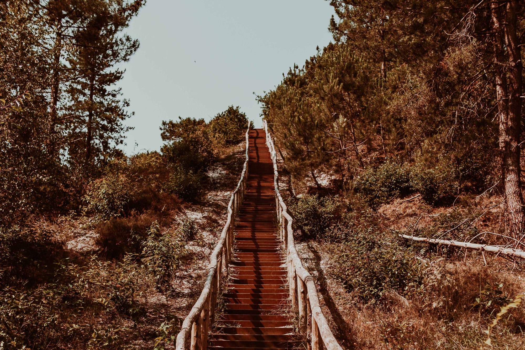 Natuurgebied Schoorlse Duinen met zandheuvels en herfstkleuren.