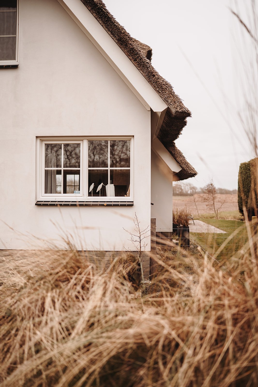 Rietgedekt vakantiehuis Waddenduyn 5 op Texel, omringd door siergrassen en natuur.