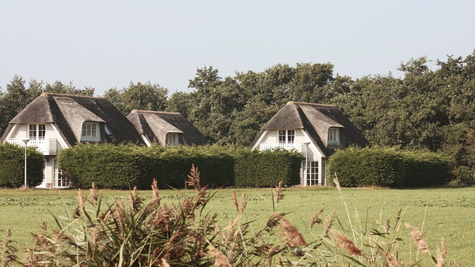 Foto van het vakantiepark aan de rand van de Texelse natuur.