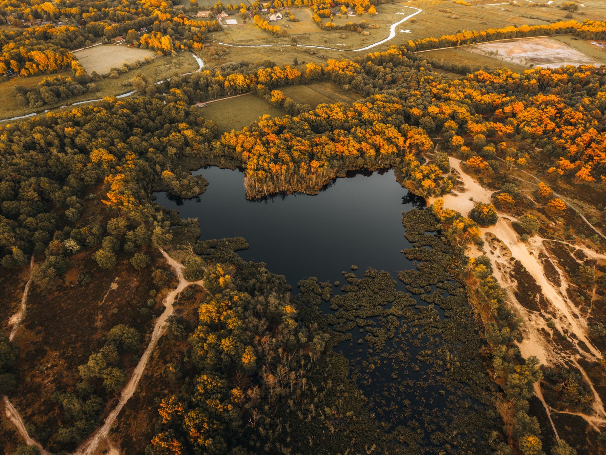 Park de Zeegser Duinen Drenthe last minute zomervakantie.