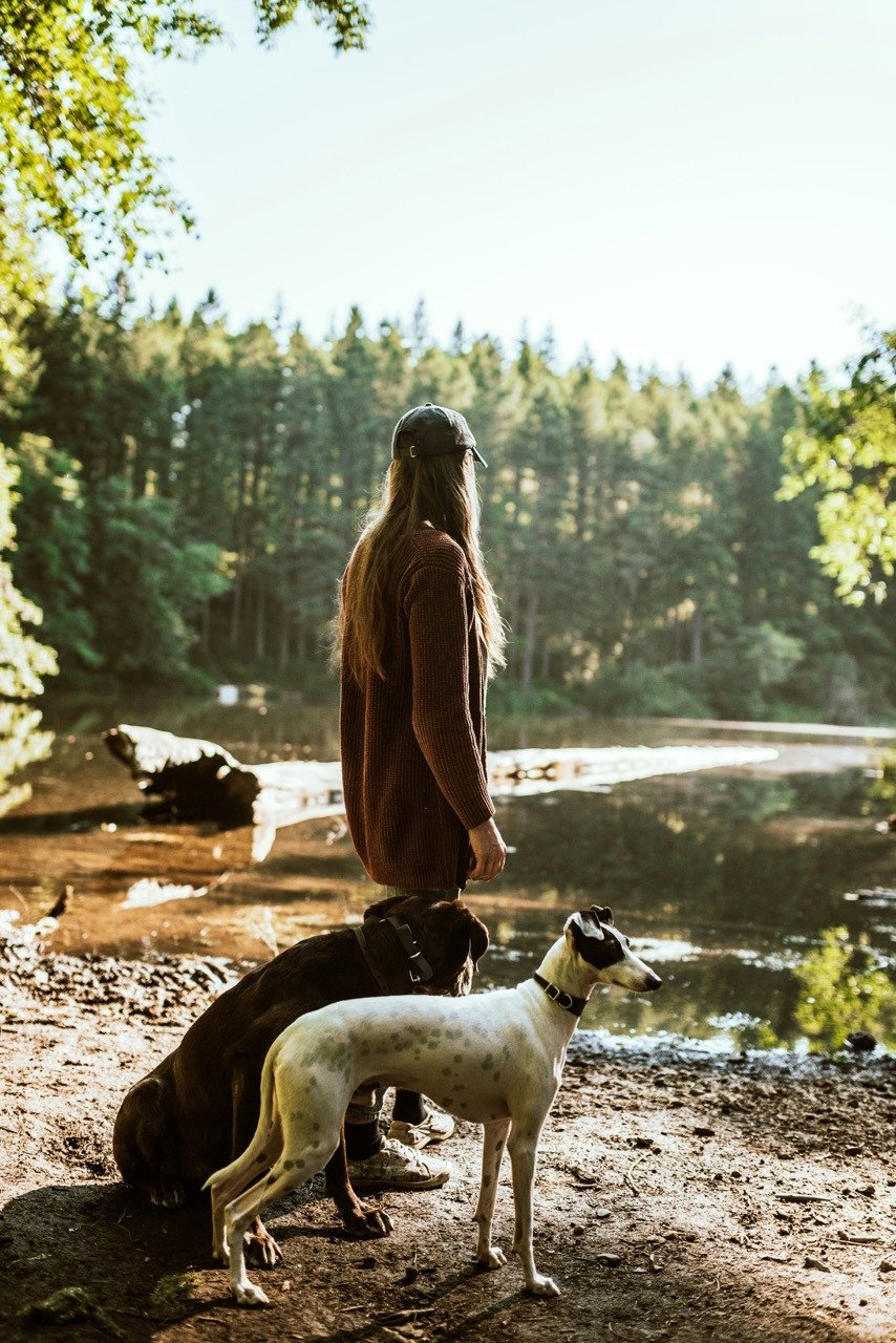 Vrouw staat bij een meertje in de bossen naar het uitzicht te kijken, vergezeld door haar twee honden.