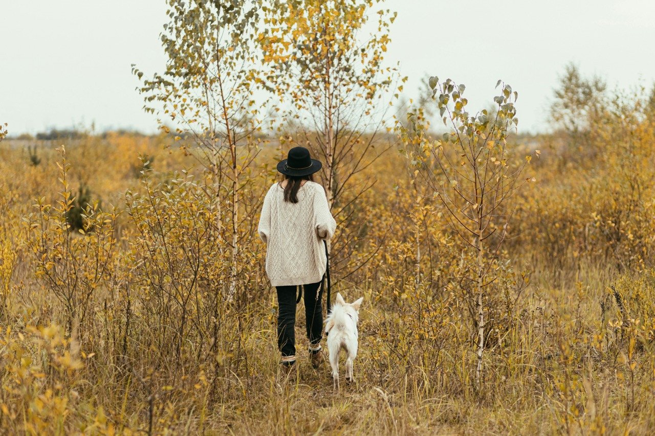 Vrouw wandelt met haar hond door een natuurgebied.